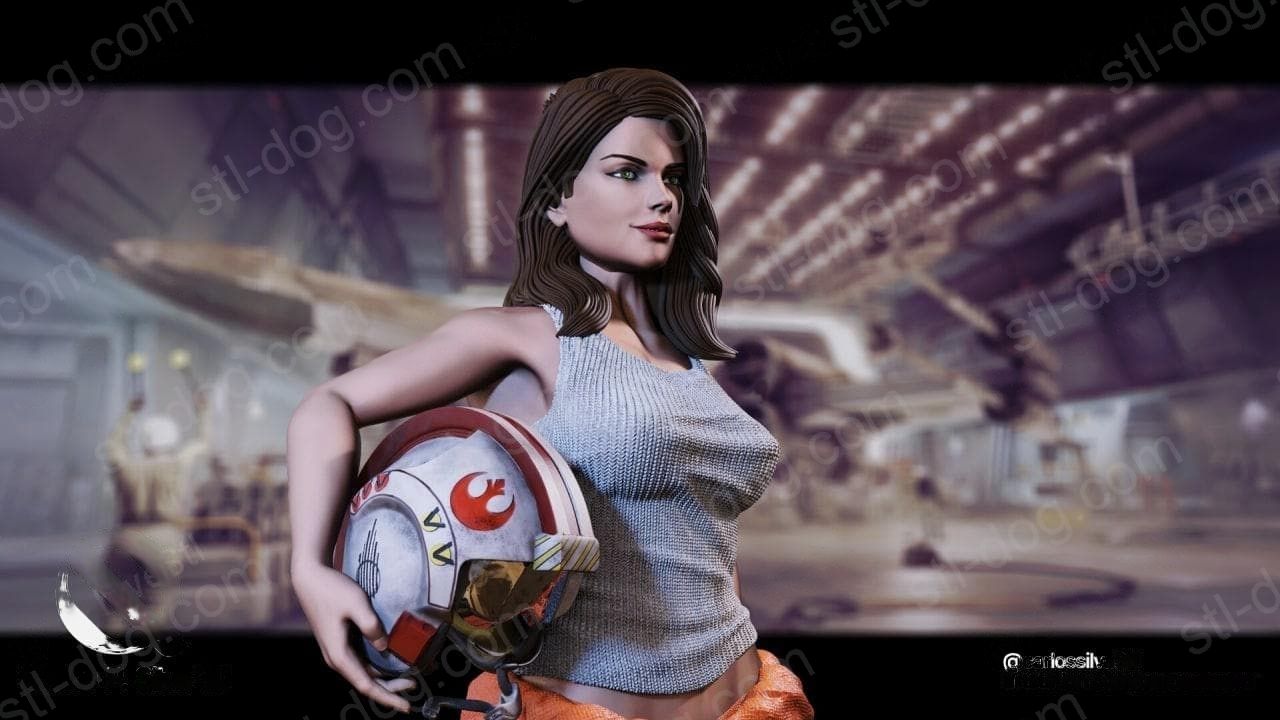 反叛飞行员(Rebel Pilot) 3D打印图纸